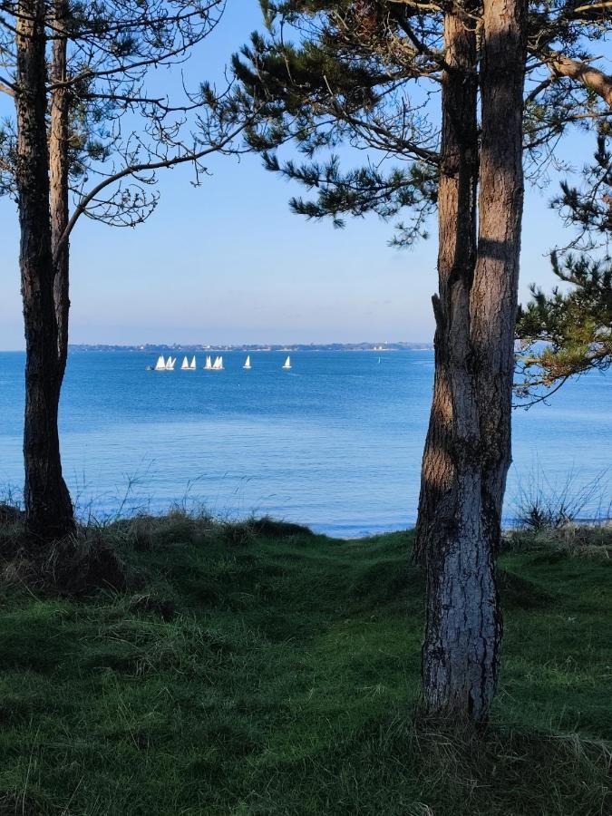 Le 3 Appartement Vue Mer Avec Jardin 100M De La Plage Et De La Thalasso Concarneau Eksteriør billede