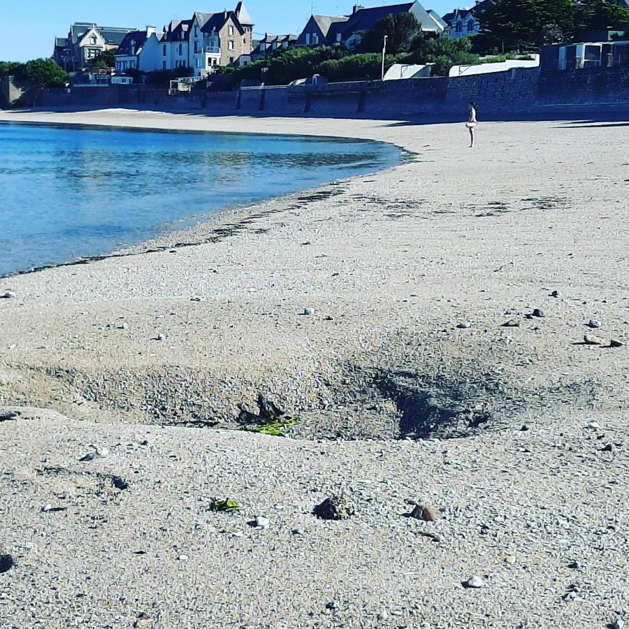 Le 3 Appartement Vue Mer Avec Jardin 100M De La Plage Et De La Thalasso Concarneau Eksteriør billede