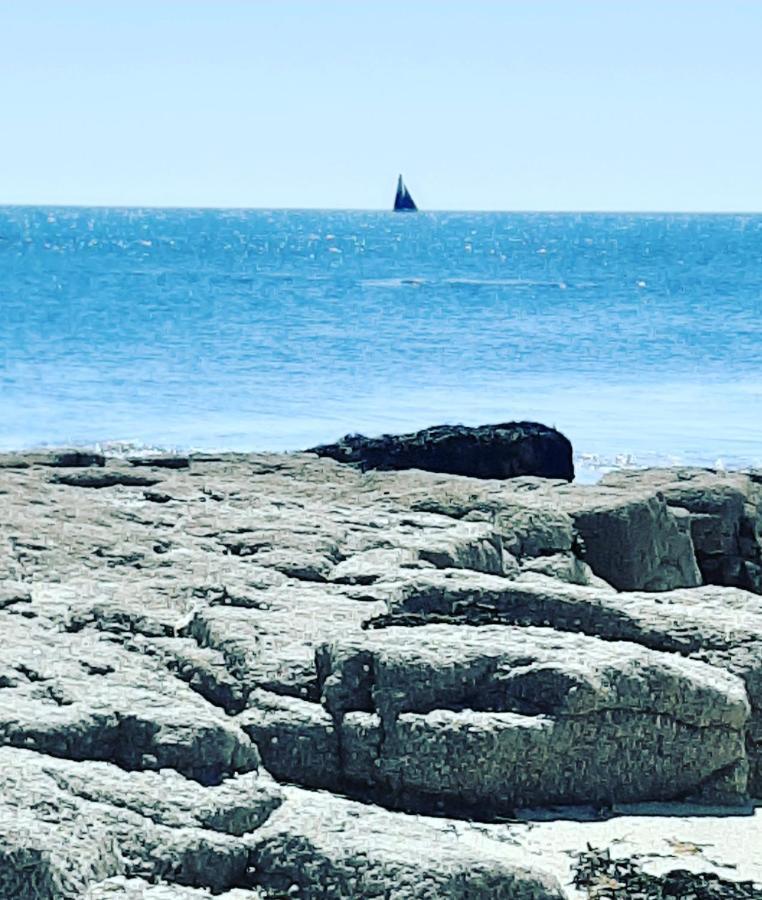 Le 3 Appartement Vue Mer Avec Jardin 100M De La Plage Et De La Thalasso Concarneau Eksteriør billede