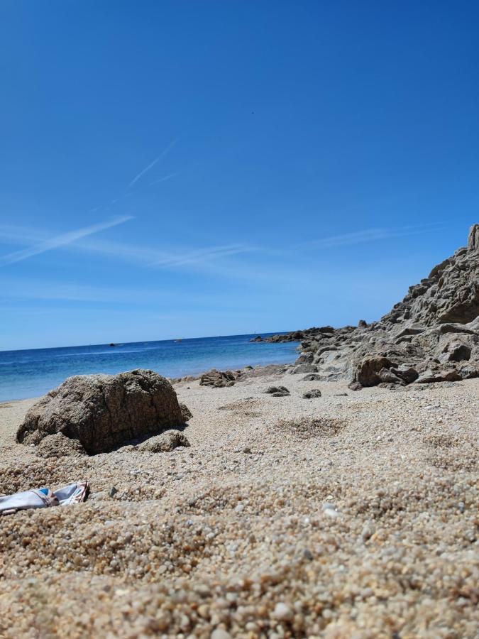 Le 3 Appartement Vue Mer Avec Jardin 100M De La Plage Et De La Thalasso Concarneau Eksteriør billede
