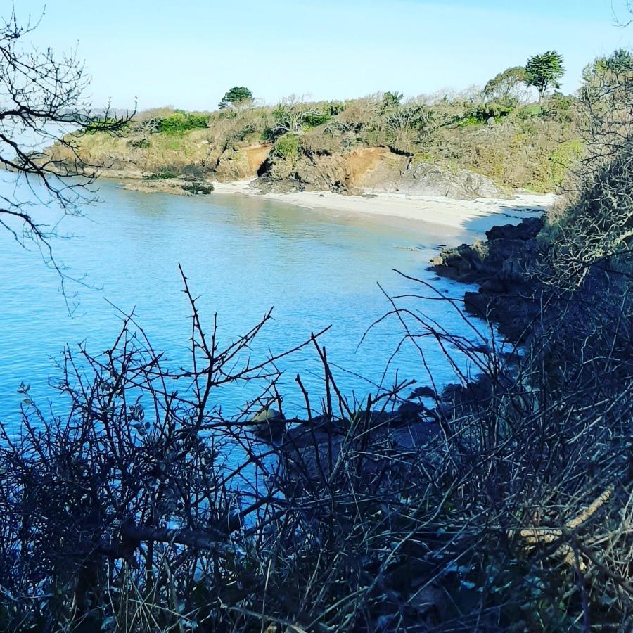 Le 3 Appartement Vue Mer Avec Jardin 100M De La Plage Et De La Thalasso Concarneau Eksteriør billede