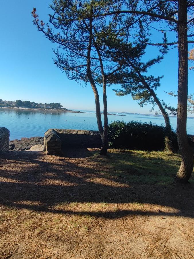 Le 3 Appartement Vue Mer Avec Jardin 100M De La Plage Et De La Thalasso Concarneau Eksteriør billede