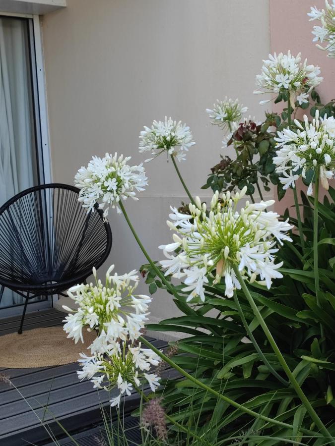 Le 3 Appartement Vue Mer Avec Jardin 100M De La Plage Et De La Thalasso Concarneau Eksteriør billede