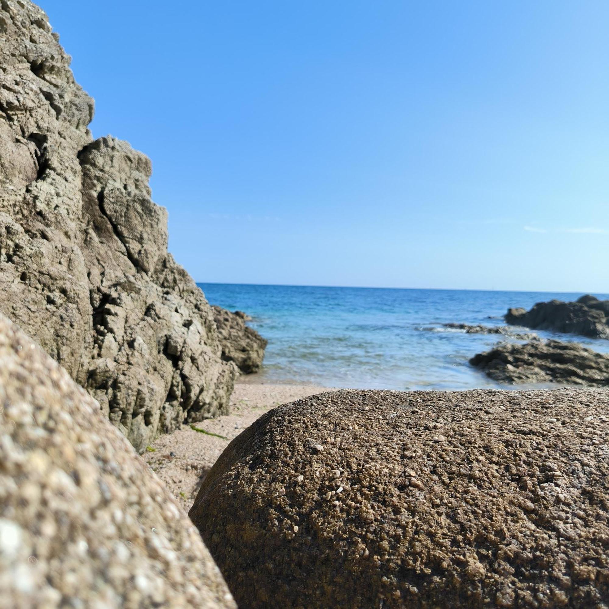 Le 3 Appartement Vue Mer Avec Jardin 100M De La Plage Et De La Thalasso Concarneau Eksteriør billede